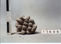 ELEMENTO ARCHITETTONICO