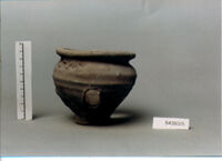olla perforata