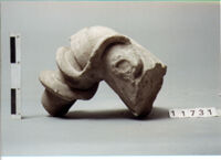 statua/ braccio