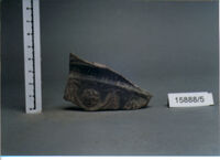 coppa/ forma ricostruibile