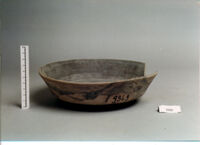 PATERA