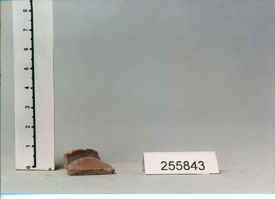 Titolo immagine