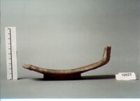 coppa/ forma parzialmente ricostruibile