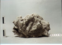 ELEMENTO ARCHITETTONICO