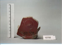 coppa/ forma parzialmente ricostruibile