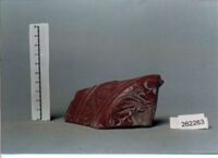 coppa/ forma parzialmente ricostruibile