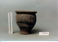 olla perforata