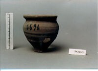 olla perforata