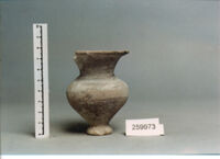 vaso