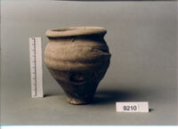 olla perforata