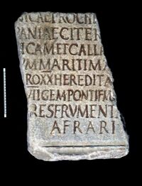 Lastra onoraria di C. Iunius Flavianus