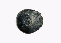 Giocattoli di Terracina