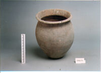 OLLA