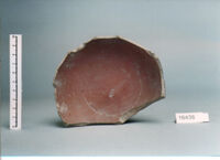 coppa/ forma parzialmente ricostruibile