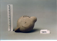 lucerna a becco arrotondato