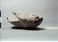 statua maschile/ piede