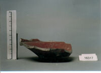 coppa/ forma parzialmente ricostruibile