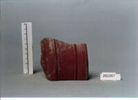 coppa/ forma parzialmente ricostruibile