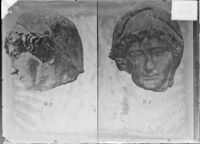 Testa della c.d. Penelope della collezione Giustiniani