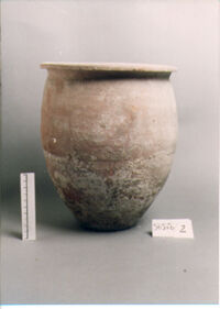 OLLA