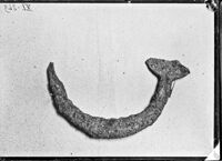 Grande fibula bronzea