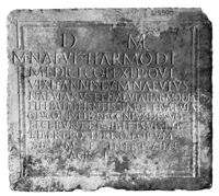 Lastra di Harmodius, medico militare