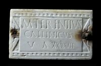 Lastra sepolcrale di M. Terentius Callinicus