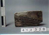 LASTRA DI RIVESTIMENTO