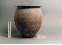 OLLA