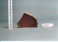 coppa/ forma parzialmente ricostruibile