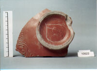 coppa/ forma parzialmente ricostruibile