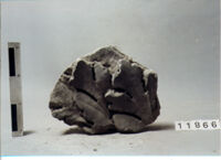 CAPITELLO CORINZIO DI PILASTRO