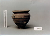 olla perforata