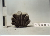 ELEMENTO ARCHITETTONICO