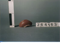 COPPETTA/ FORMA RICOSTRUIBILE