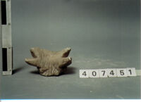 capitello corinzio/ frammento