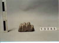 statua di animale/ zampa