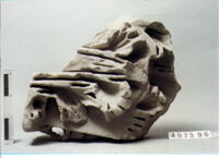 CAPITELLO CORINZIO DI LESENA