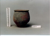 vaso