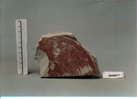 piatto/ fondo