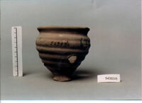 olla perforata