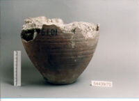 OLLA