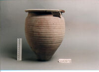 olla perforata