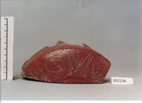 coppa/ forma parzialmente ricostruibile