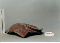 coppa/ forma parzialmente ricostruibile