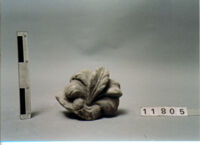 ELEMENTO ARCHITETTONICO