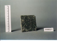 LASTRA DI RIVESTIMENTO