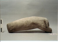 Frammento di braccio