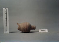 vaso