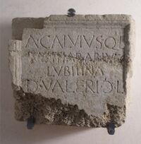 Lastra sepolcrale del vestiarius A. Calvius